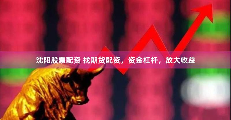 沈阳股票配资 找期货配资，资金杠杆，放大收益