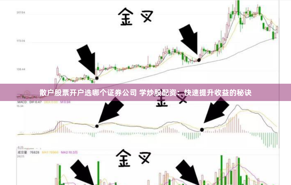 散户股票开户选哪个证券公司 学炒股配资:快速提升收益的秘诀