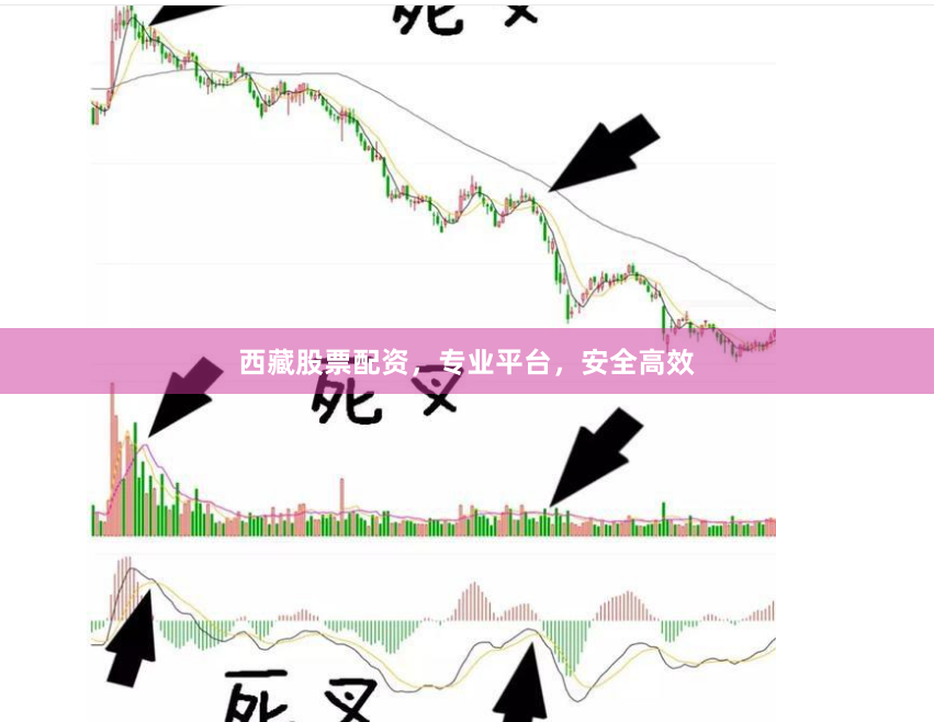 西藏股票配资,专业平台,安全高效