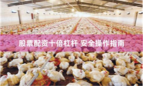 股票配资十倍杠杆 安全操作指南